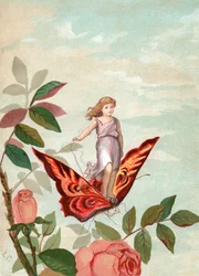 Fée chevauchant un papillon parmi les roses