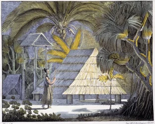 Habitat sur les îles Radak, archipel des îles Marshall. Gravure du XIXe siècle.
