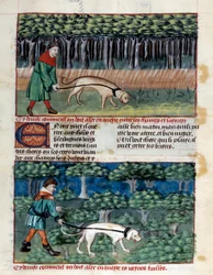 Comment conduire les chiens Miniature tirée du "Livre de la chasse" de Gaston III Phoebus, comte de Foix, seigneur de Béarn (1331-1391)