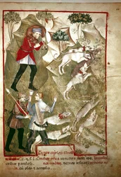 Chasse (Miniature, 14e siècle)