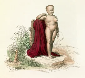Illustration tirée du livre «Œuvres complètes de Buffon» : Histoire naturelle de l