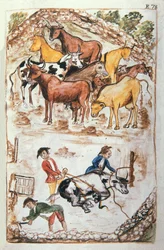 Gardiens indiens des vaches, du livre "Trujillo del Peru" ou "Códice Martínez Compañón", par Baltazar Martinez Compañón y Bujanda, évêque de Trujillo (1782-1785)