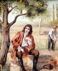 Isaac Newton (1642-1727), mathématicien, physicien et astronome anglais, découvre la théorie de la gravitation en observant la chute d