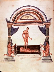 Médecine : réduction d