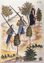 Indiens Motilones allant chasser, du livre "Trujillo del Peru" ou "Codex Martínez Compañón", par Baltazar Martinez Compañón y Bujanda, évêque de Trujillo (1782-1785)