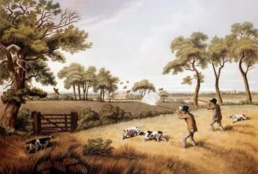 Scène de chasse à la perdrix