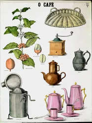 Illustration des différentes étapes de la fabrication du café, branche de café, moulin et différents cafetières. Gravure du XIXe siècle Collection Privée