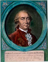 Portrait de George Louis Le Clerc, Comte de Buffon (1707-1788), naturaliste et écrivain français. Gravure du XVIIIe siècle. Collection privée.