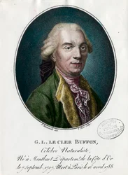 Portrait de George Louis Le Clerc, Comte de Buffon
