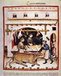 Production et vente (boucherie) de bœuf : un bœuf est étourdi. Enluminure du "Tacuinum sanitatis"