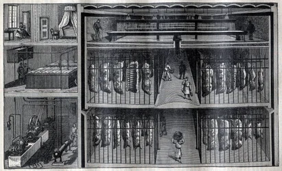 Chambres frigorifiques pour la viande - Gravure dans « La Science française »