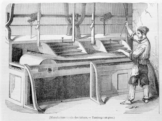 Fabrique royale de tabac : tamisage en gros du tabac. Gravure du 19ème siècle.