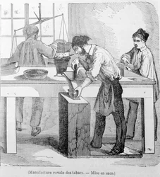 Manufacture royale de tabac : le sac de tabac. Gravure du 19e siècle.