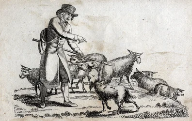 Berger avec son troupeau de moutons. Gravure fin XVIIIe siècle. Collection privée.