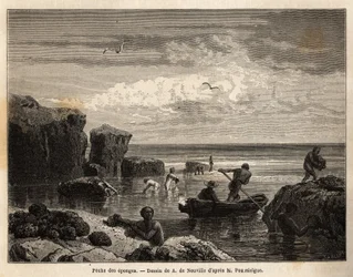 Pêche à l