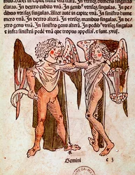 La constellation des Gémeaux (détail) de « Poeticon astronomicon » attribué à l