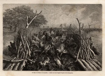La technique de chasse hopo dans la tranchée