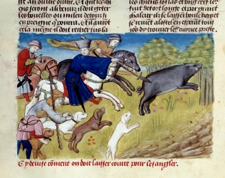 La chasse au sanglier miniature tirée de « Le livre de la chasse » par Gaston III Phoebus, comte de Foix, seigneur de Béarn (1331-1391)