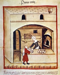 La préparation du pain avec du millet. Enluminure du « Tacuinum sanitatis »