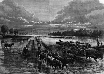 Transport de barils de pétrole à Oil Creek, Pennsylvanie, USA