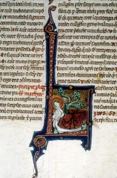 Arbre de Jessé, père du roi David