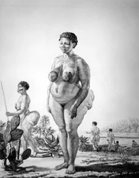 Vénus Hottentote d