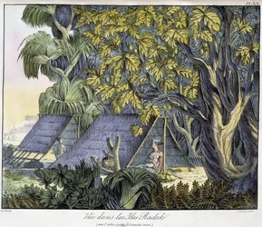 Vue des îles Radack