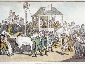 Pesée et lavage avant une course de chevaux