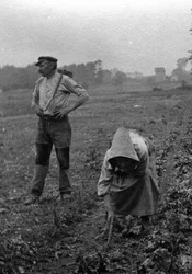 Couple de peasants working la terre, Somme 1921 Photographie (Paysans français travaillant dans les champs, Somme 1921) Collection privée