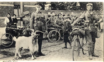 Gat : mascotte des soldats pendant la Première Guerre mondiale (1914-1918).