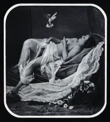 Femme nue allongée vers 1850, photographie anonyme