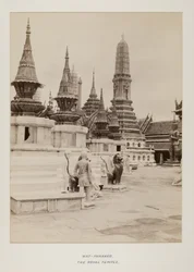 Photographie dans un album photo