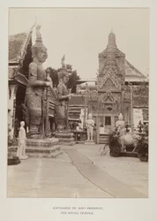 Photographie dans un album photo
