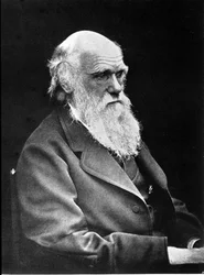 Portrait photographique de Charles Darwin (1809 - 1882), naturaliste anglais. 1881