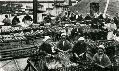 Industrie de la sardine, Finistère, Bretagne (photo n/b)
