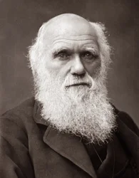 Le naturaliste anglais Charles Robert Darwin (1809-1882)
