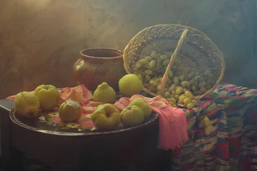 Récolte des fruits d