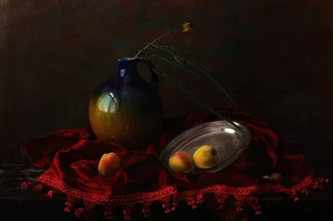 Nature morte au velours sombre