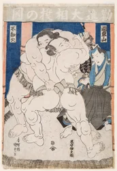 Combat de lutteurs de sumo