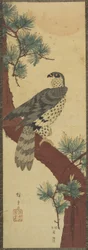 (Faucon sur branche de pin, été), septembre 1853