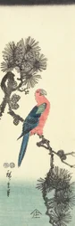 (Perroquet sur un pin), 1847-1852