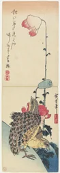 (Cailles et coquelicots), 1830-1858