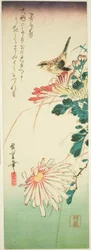 Oiseau et chrysanthèmes