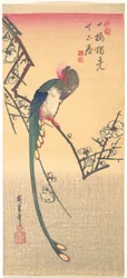 Oiseau sur une branche de prunier
