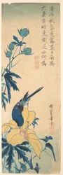 Oiseau bleu