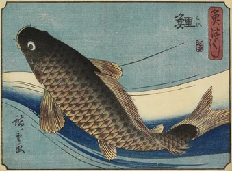 Carpe, 1830-1844