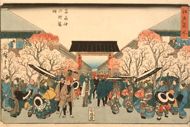 La saison des cerisiers en fleurs à Nakanochō dans le Yoshiwara