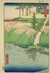 Étang Chiyogaike, Meguro (Meguro Chiyogaike), de la série "Cent vues célèbres d