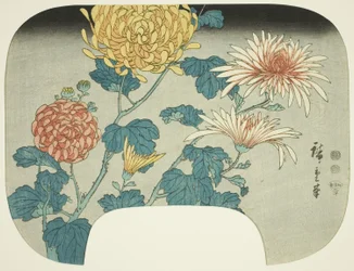 Chrysanthèmes