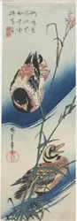 Canards et roseaux, 1834-1839